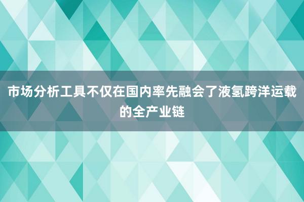 市场分析工具不仅在国内率先融会了液氢跨洋运载的全产业链