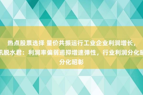 热点股票选择 量价共振运行工业企业利润增长，和讯脱水君：利润率偏弱遏抑增速弹性，行业利润分化昭彰