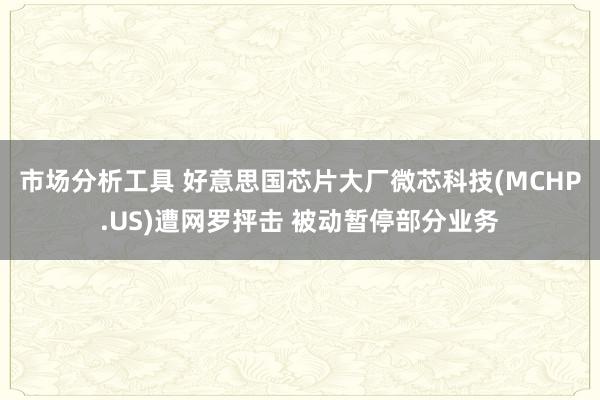 市场分析工具 好意思国芯片大厂微芯科技(MCHP.US)遭网罗抨击 被动暂停部分业务