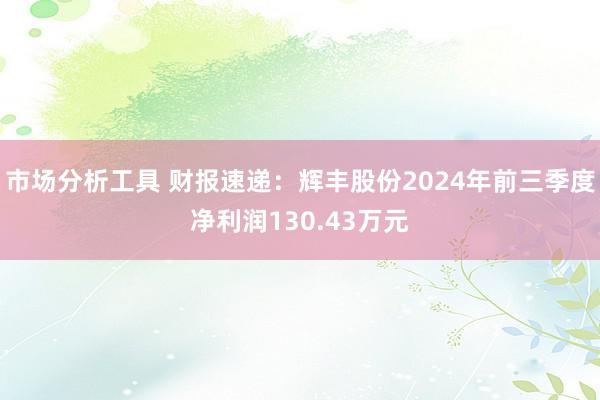 市场分析工具 财报速递：辉丰股份2024年前三季度净利润130.43万元