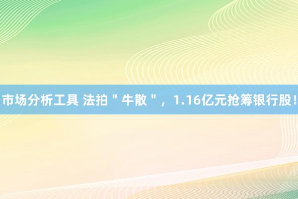 市场分析工具 法拍＂牛散＂，1.16亿元抢筹银行股！