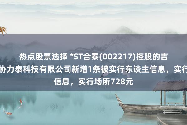 热点股票选择 *ST合泰(002217)控股的吉安贩子开区协力泰科技有限公司新增1条被实行东谈主信息，实行场所728元