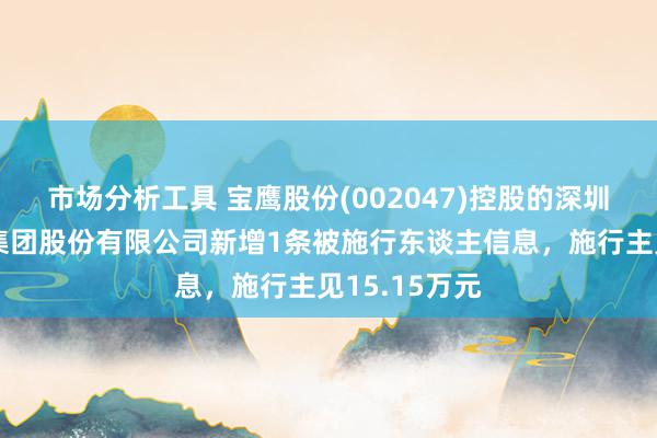 市场分析工具 宝鹰股份(002047)控股的深圳市宝鹰斥地集团股份有限公司新增1条被施行东谈主信息，施行主见15.15万元