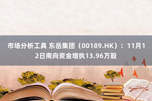 市场分析工具 东岳集团（00189.HK）：11月12日南向资金增执13.96万股