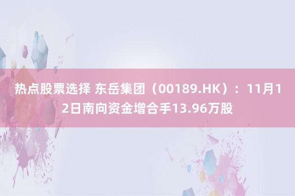 热点股票选择 东岳集团（00189.HK）：11月12日南向资金增合手13.96万股