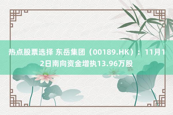 热点股票选择 东岳集团（00189.HK）：11月12日南向资金增执13.96万股