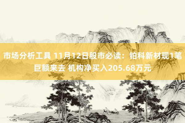 市场分析工具 11月12日股市必读：铂科新材现1笔巨额来去 机构净买入205.68万元