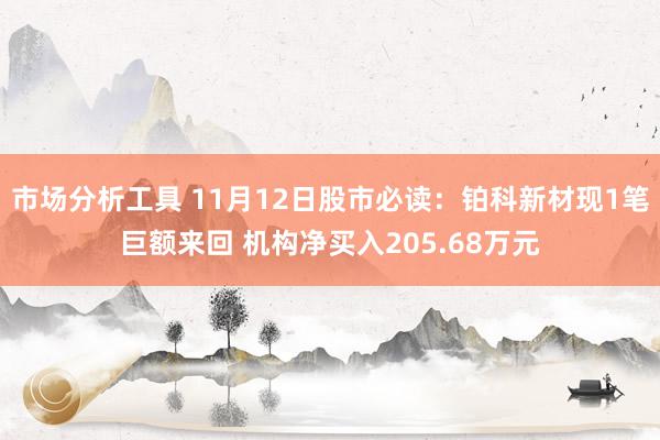 市场分析工具 11月12日股市必读：铂科新材现1笔巨额来回 机构净买入205.68万元