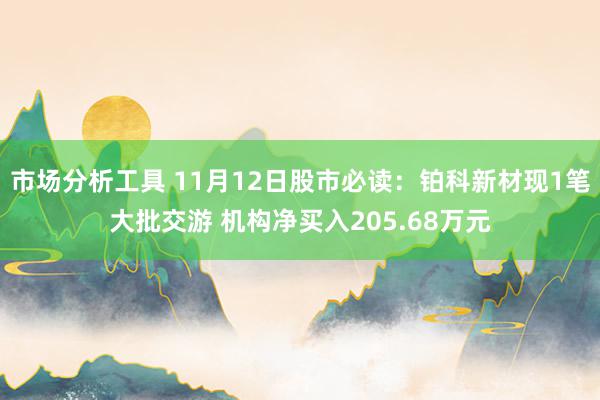 市场分析工具 11月12日股市必读：铂科新材现1笔大批交游 机构净买入205.68万元