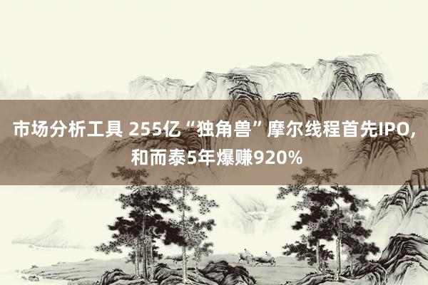 市场分析工具 255亿“独角兽”摩尔线程首先IPO, 和而泰5年爆赚920%