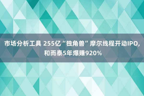 市场分析工具 255亿“独角兽”摩尔线程开动IPO, 和而泰5年爆赚920%