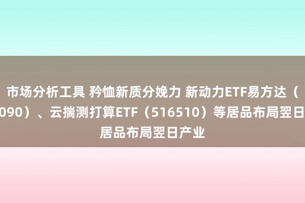 市场分析工具 矜恤新质分娩力 新动力ETF易方达（516090）、云揣测打算ETF（516510）等居品布局翌日产业