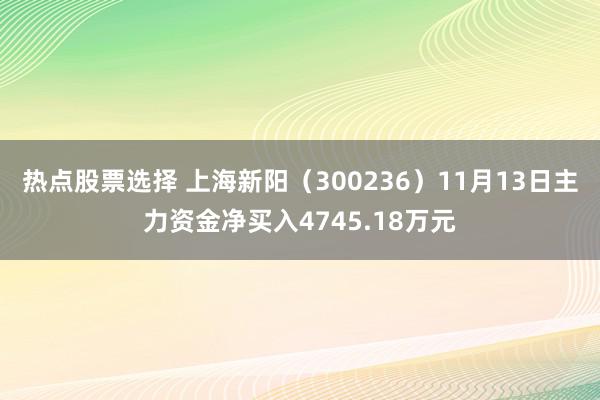 热点股票选择 上海新阳（300236）11月13日主力资金净买入4745.18万元