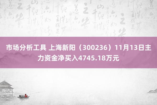 市场分析工具 上海新阳（300236）11月13日主力资金净买入4745.18万元