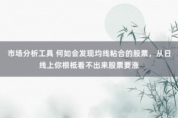 市场分析工具 何如会发现均线粘合的股票，从日线上你根柢看不出来股票要涨