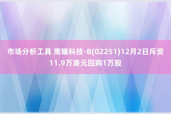 市场分析工具 鹰瞳科技-B(02251)12月2日斥资11.9万港元回购1万股