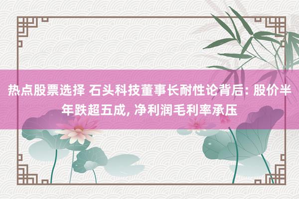 热点股票选择 石头科技董事长耐性论背后: 股价半年跌超五成, 净利润毛利率承压