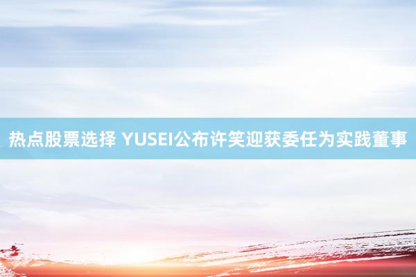 热点股票选择 YUSEI公布许笑迎获委任为实践董事