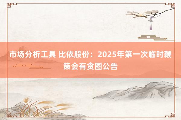 市场分析工具 比依股份：2025年第一次临时鞭策会有贪图公告