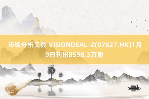 市场分析工具 VISIONDEAL-Z(07827.HK)1月9日刊出8598.3万股