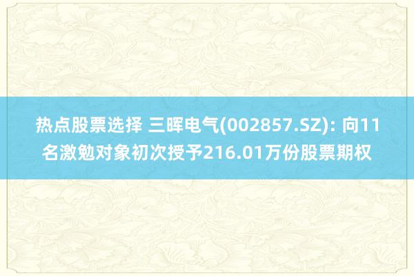 热点股票选择 三晖电气(002857.SZ): 向11名激勉对象初次授予216.01万份股票期权