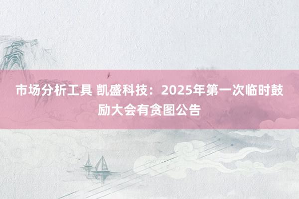 市场分析工具 凯盛科技：2025年第一次临时鼓励大会有贪图公告