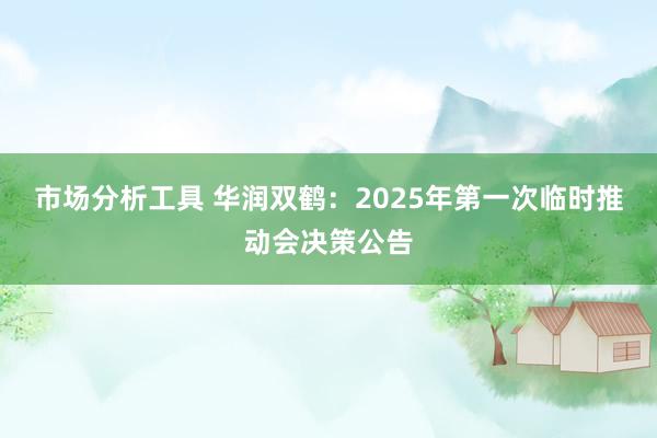 市场分析工具 华润双鹤：2025年第一次临时推动会决策公告