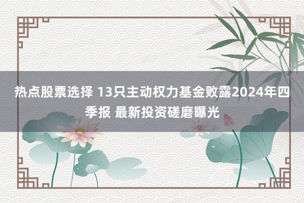 热点股票选择 13只主动权力基金败露2024年四季报 最新投资磋磨曝光