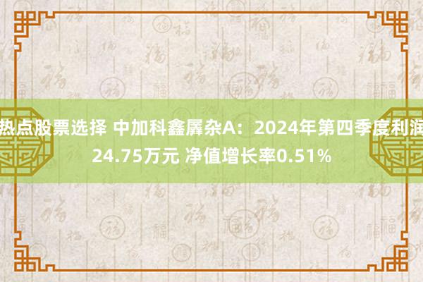 热点股票选择 中加科鑫羼杂A：2024年第四季度利润24.75万元 净值增长率0.51%