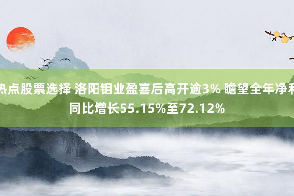 热点股票选择 洛阳钼业盈喜后高开逾3% 瞻望全年净利同比增长55.15%至72.12%