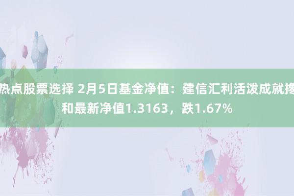 热点股票选择 2月5日基金净值：建信汇利活泼成就搀和最新净值1.3163，跌1.67%