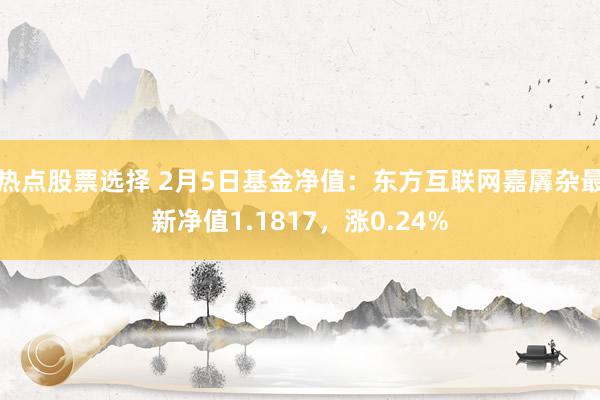 热点股票选择 2月5日基金净值：东方互联网嘉羼杂最新净值1.1817，涨0.24%