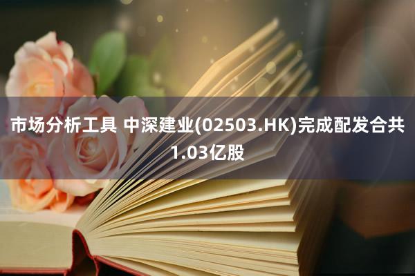 市场分析工具 中深建业(02503.HK)完成配发合共1.03亿股