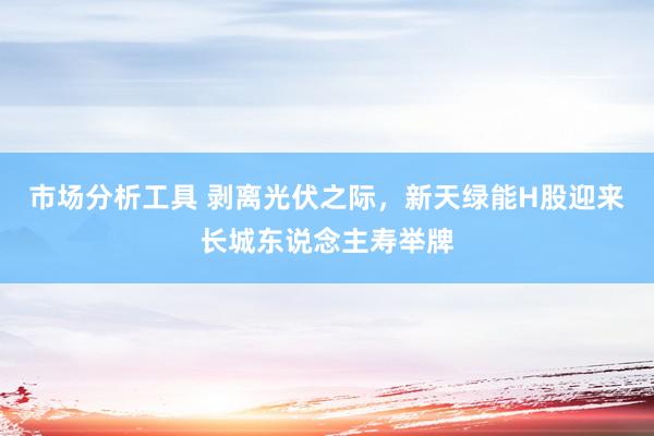 市场分析工具 剥离光伏之际，新天绿能H股迎来长城东说念主寿举牌