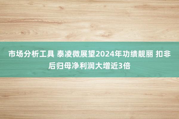 市场分析工具 泰凌微展望2024年功绩靓丽 扣非后归母净利润大增近3倍