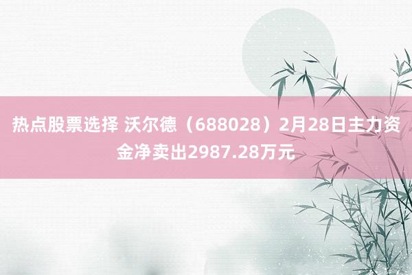 热点股票选择 沃尔德（688028）2月28日主力资金净卖出2987.28万元