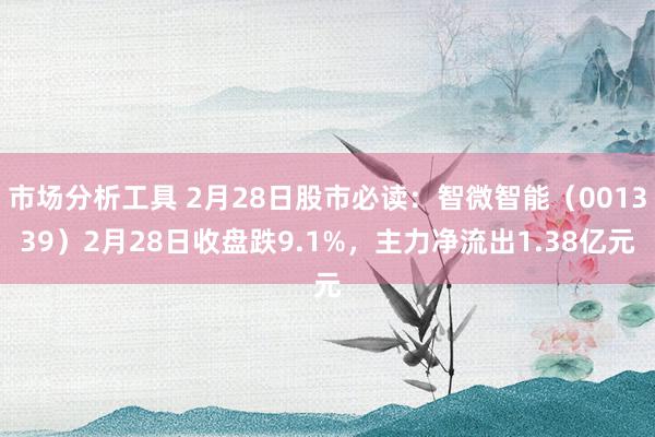 市场分析工具 2月28日股市必读：智微智能（001339）2月28日收盘跌9.1%，主力净流出1.38亿元