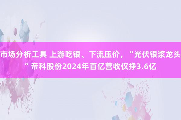 市场分析工具 上游吃银、下流压价，“光伏银浆龙头”帝科股份2024年百亿营收仅挣3.6亿