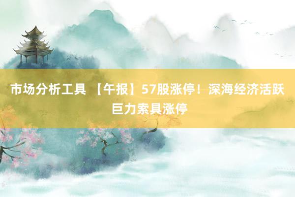 市场分析工具 【午报】57股涨停！深海经济活跃 巨力索具涨停